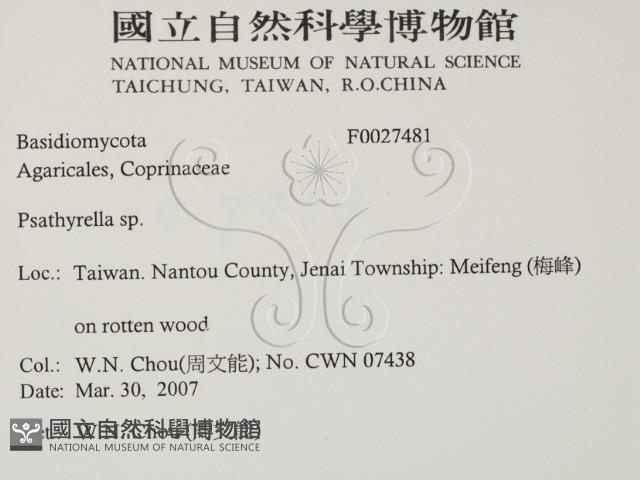 登錄號:F0027481藏品圖，第2張