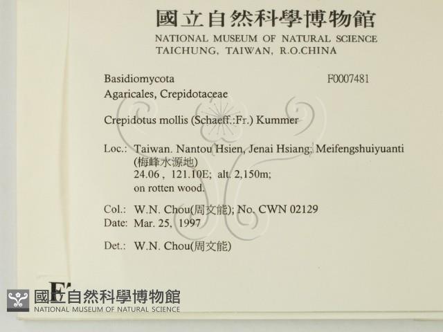 登錄號:F0007481藏品圖，第2張