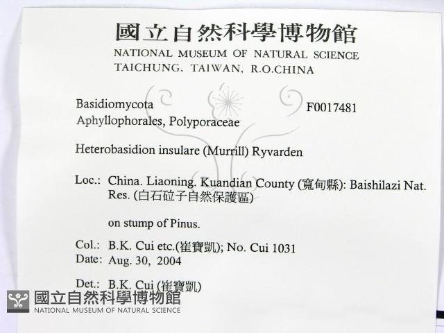 登錄號:F0017481藏品圖，第2張
