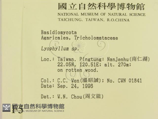 登錄號:F0005481藏品圖，第2張