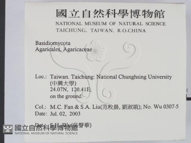 登錄號:F0015481藏品圖，第2張