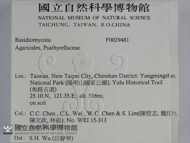 登錄號:F0029481藏品圖，第2張