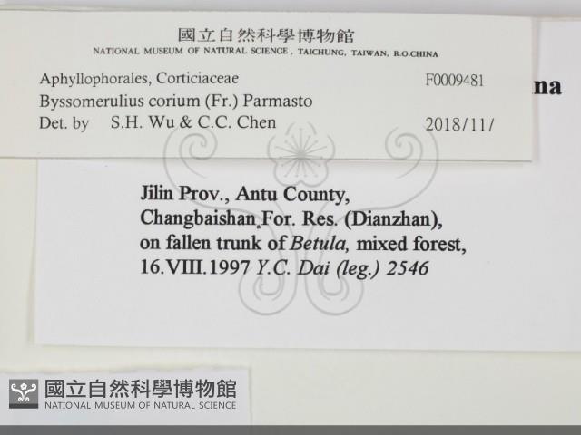 登錄號:F0009481藏品圖，第2張