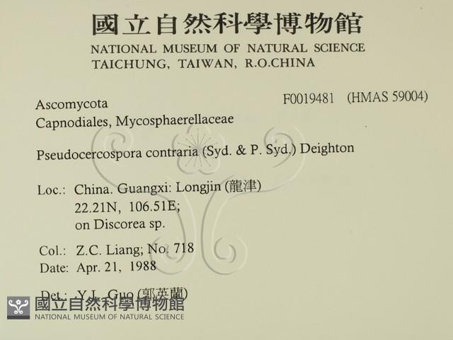 登錄號:F0019481藏品圖，第2張
