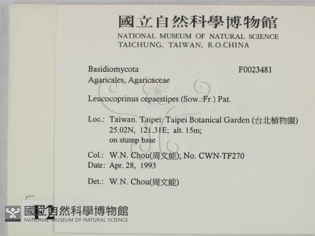 Accession Number:F0023481 Collection Image, Figure 2, Total 3 Figures