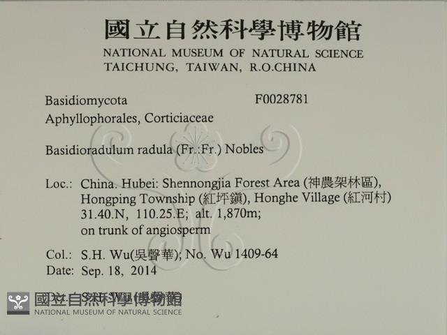 Accession Number:F0028781 Collection Image, Figure 2, Total 2 Figures