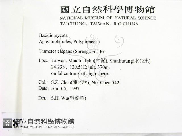 登錄號:F0008781藏品圖，第2張