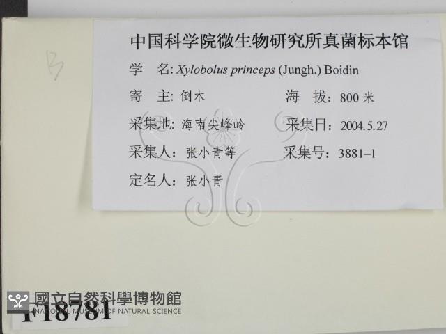 登錄號:F0018781藏品圖，第2張