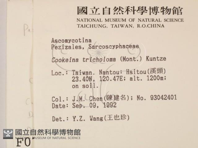 登錄號:F0000781藏品圖，第2張