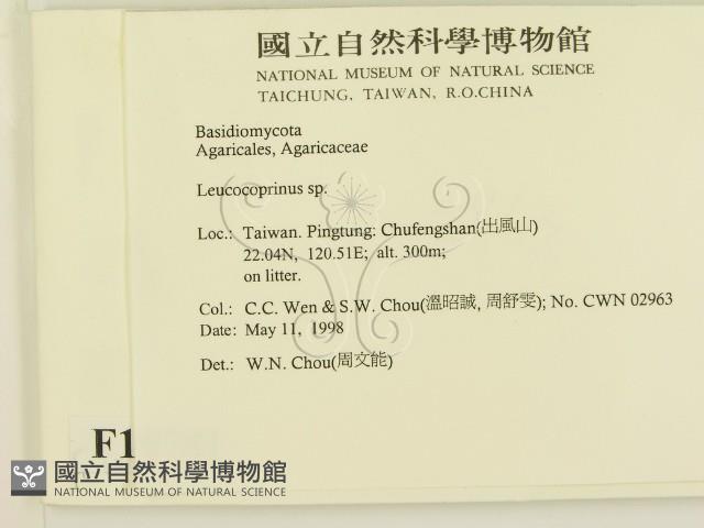 登錄號:F0010781藏品圖，第2張