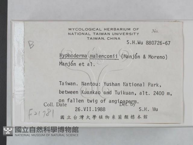 登錄號:F0021781藏品圖，第2張