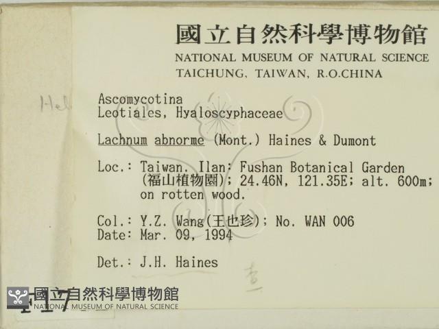 登錄號:F0001781藏品圖，第2張
