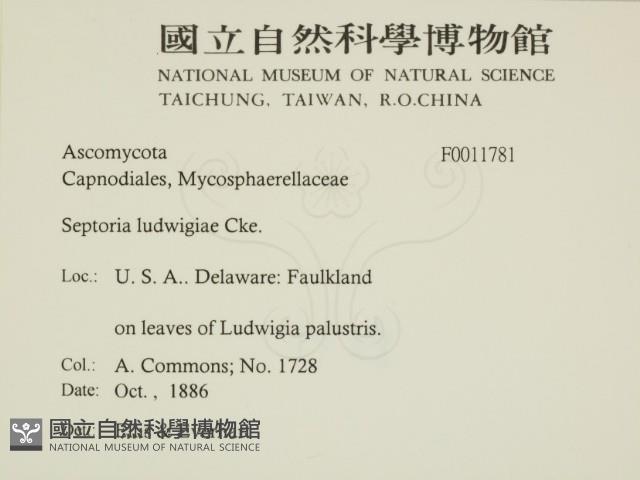 登錄號:F0011781藏品圖，第2張