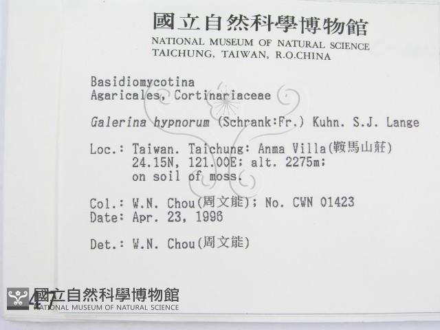 登錄號:F0004781藏品圖，第2張