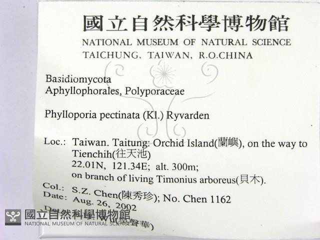 登錄號:F0014781藏品圖，第2張