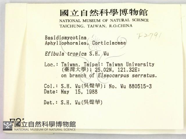 登錄號:F0002781藏品圖，第2張