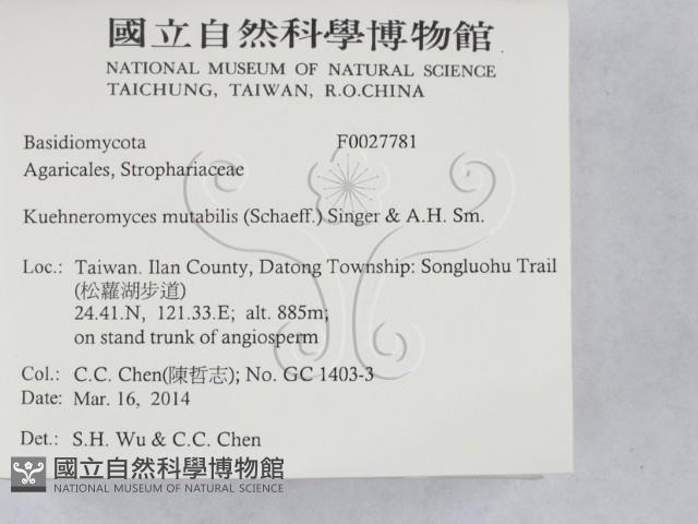 登錄號:F0027781藏品圖，第2張