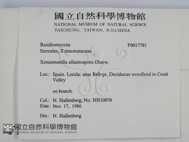 登錄號:F0017781藏品圖，第2張