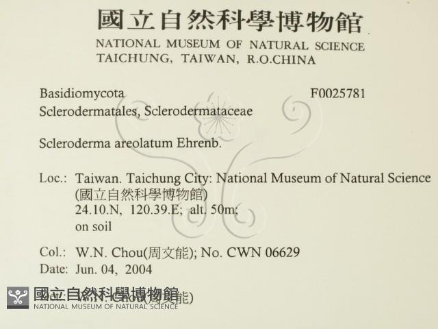 登錄號:F0025781藏品圖，第2張