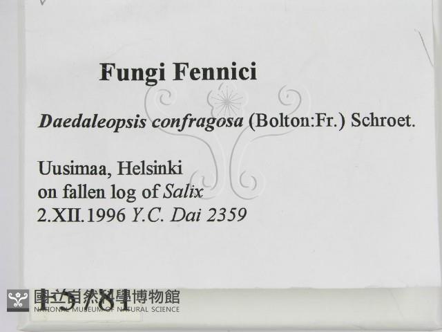 登錄號:F0005781藏品圖，第2張