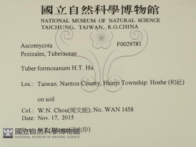 台灣塊菌藏品圖，第2張