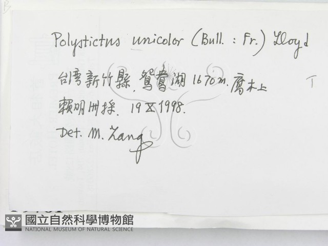 登錄號:F0009781藏品圖，第2張