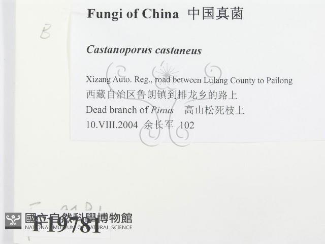 登錄號:F0019781藏品圖，第2張