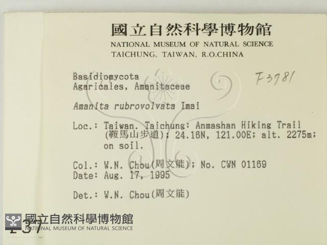 登錄號:F0003781藏品圖，第2張