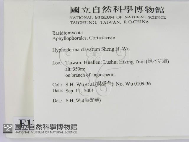 登錄號:F0013781藏品圖，第2張