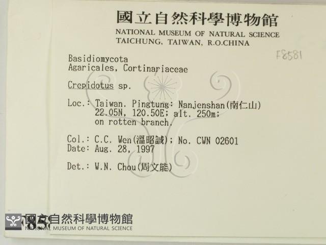 登錄號:F0008581藏品圖，第2張