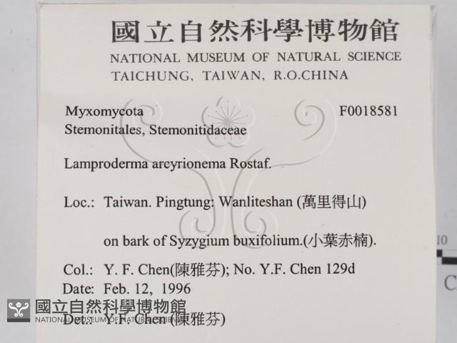 登錄號:F0018581藏品圖，第2張