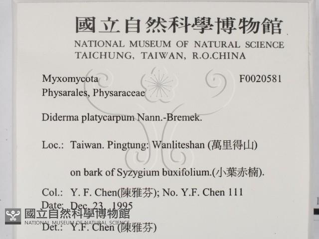 登錄號:F0020581藏品圖，第2張