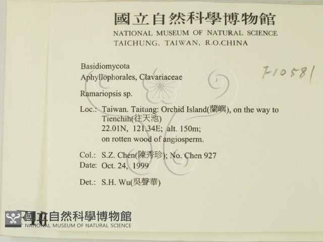 登錄號:F0010581藏品圖，第2張