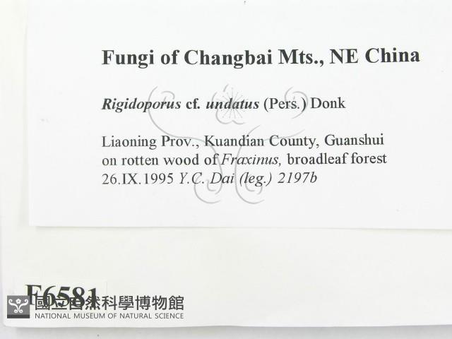 登錄號:F0006581藏品圖，第2張