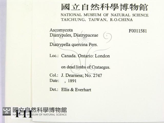 登錄號:F0011581藏品圖，第2張