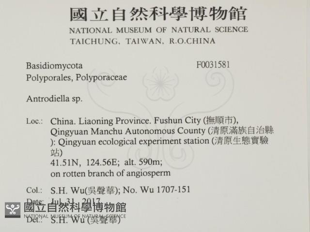 登錄號:F0031581藏品圖，第2張