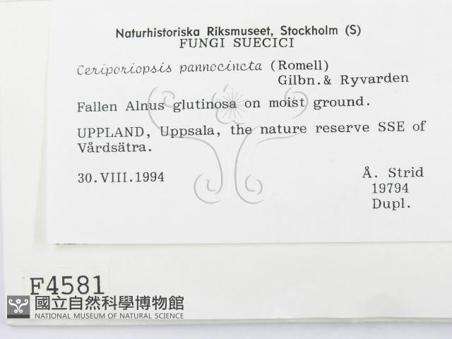 登錄號:F0004581藏品圖，第2張