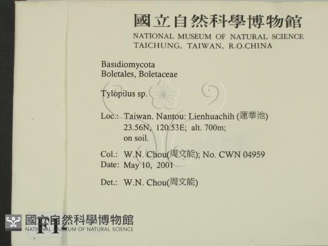 登錄號:F0014581藏品圖，第2張