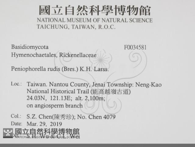 登錄號:F0034581藏品圖，第2張