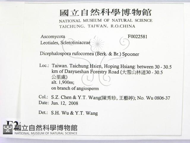 登錄號:F0022581藏品圖，第2張