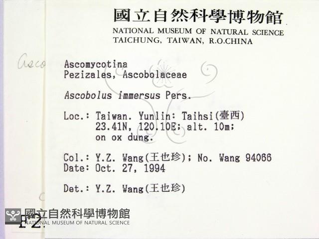 登錄號:F0002581藏品圖，第2張