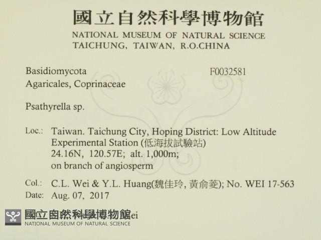 登錄號:F0032581藏品圖，第2張