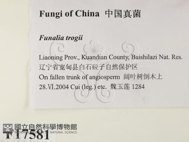登錄號:F0017581藏品圖，第2張