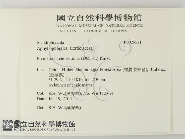 登錄號:F0025581藏品圖，第2張