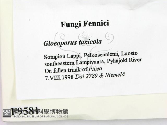 登錄號:F0009581藏品圖，第2張