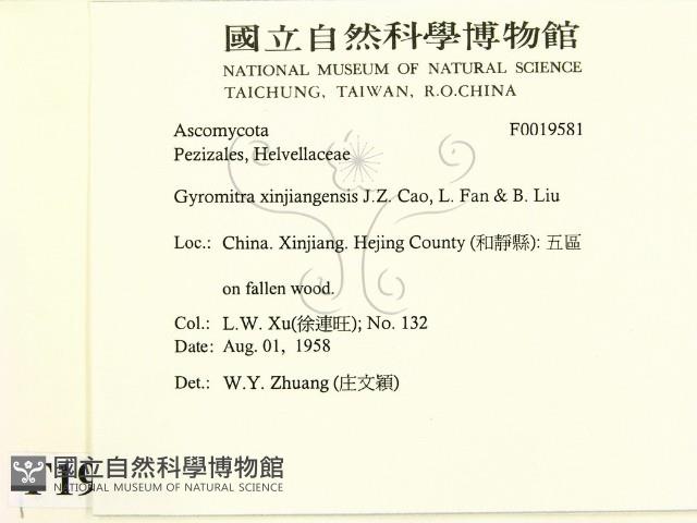 登錄號:F0019581藏品圖，第2張