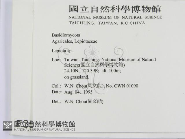 登錄號:F0003581藏品圖，第2張