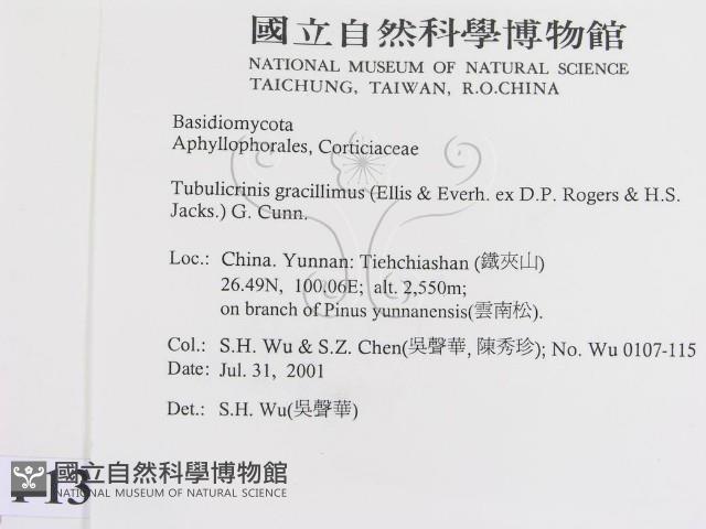 登錄號:F0013581藏品圖，第2張