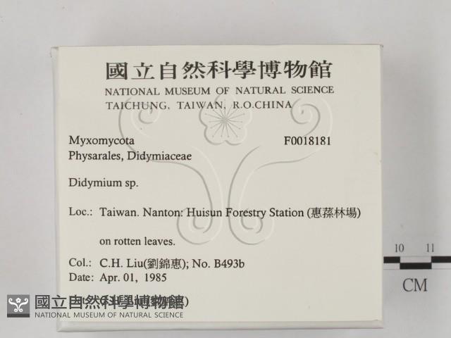 登錄號:F0018181藏品圖，第2張