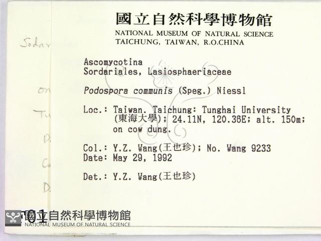 登錄號:F0000181藏品圖，第2張
